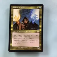 MTG 暴露　サインド　日本語版３枚セット 暴露 [MMQ] 【BIGWEB | MTG】日本最大級の激安カードゲーム通販専門店