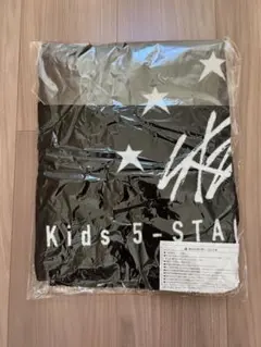 Stray Kids スキズ　5-star ドームツアー　フードタオル　アプグレ