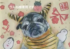 りんね様専用です。色鉛筆画　犬の絵　パグ