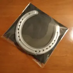 【本物の蹄鉄】馬蹄