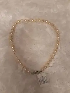 Item thumbnail for item fed0c3c6-4f26-4f59-bee5-6265b8effb52