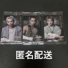 BOTウエハース 鈴木昴秀RIKIYA浦川翔平 THE RAMPAGE