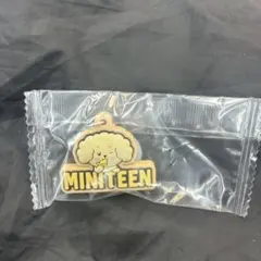 ミニティーンぷっくりめじるしアクセサリー　seventeen セブチ　ドギョム