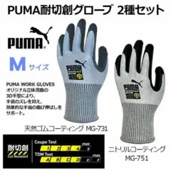 Item thumbnail for item 6c940dcb-08ea-4385-86bf-63b73644786a