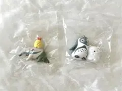 すみっコぐらし 東山動植物園 東山動物園 ガチャガチャ