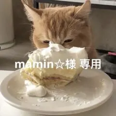 mamin☆様 専用
