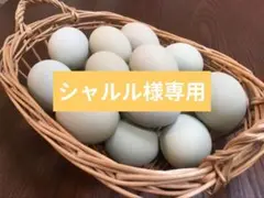 シャルル様専用　青いたまご　アローカナ平飼いたまご48個