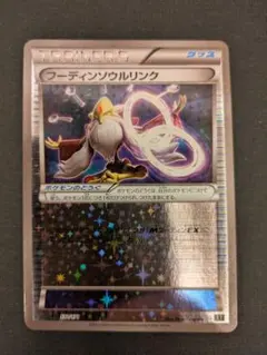 フーディンソウルリンクpsa10 PSA10】フーディンソウルリンク P [XY-P 229](プロモーションカード