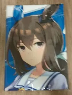 アドマイヤベガ タオル Amazon｜ウマ娘 ナムコ限定 ビッグタオル～ペインタースタイル