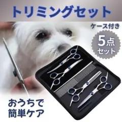 Item thumbnail for item 407786f1-f25d-4085-aebe-a09f692f5e22