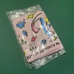 TWICE 2017年 TOUCHDOWN 公式ライブタオル 未使用