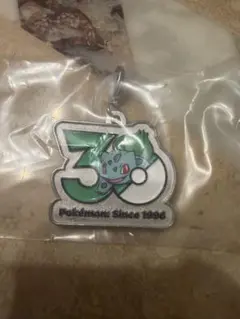 ポケモン30周年　メタルチャーム