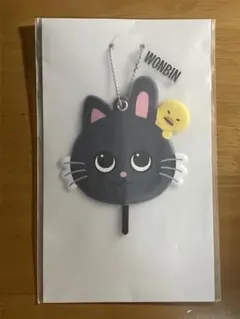 riize オンラインくじ　D賞　ウォンビン　ミニうちわキーホルダー