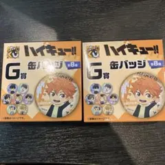 ハイキュー!! 缶バッジ 2個セット 全8種