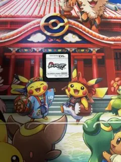 ポケットモンスター ホワイト　DS ソフト　データ有　箱無