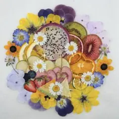 押しフルーツ♡No476