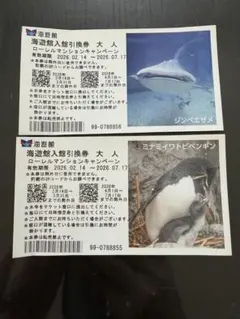 海遊館 入場引換券 大人2名 平日のみ ※2026年7月17日までのサムネイル