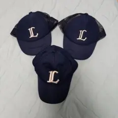 Item thumbnail for item d545f435-2f84-43b6-86a1-d553158a1a1c