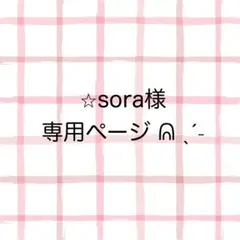 ☆sora様 リクエスト 2点 まとめ商品