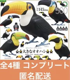 ネイチャーテクニカラー 大きなオオハシ　全4種 コンプリート　セット