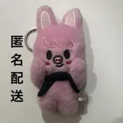 SKZOO　マグネットキーリング　8体コンプリート　10cmぬいぐるみ　スキズ スキズ ハン フィギュア マグネット SKZOO マグネットキーリング 8体