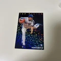 プロ野球ポテトチップスカード　山本昌