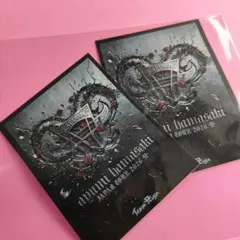 浜崎あゆみ 新品未使用品 各公演TAパスポートブロンズ 限定 ステッカー2枚
