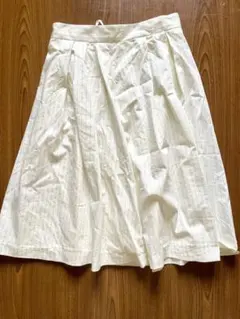 Natural Beauty Basic: ピンストライプ フレアスカート