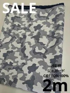 Item thumbnail for item 2a44ca68-b3c9-464d-9464-d27888b3baa4