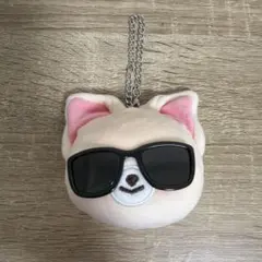 StrayKids アイエン skzoo フェイスキーリング フォクシニー ②