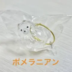 うちの子のけだまだま【ポメラニアン】