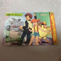 ポケモンカードダス アニメコレクション 「19.ヒイラギ＆タケシ