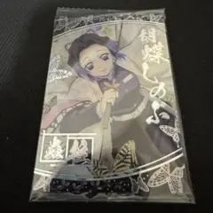 【最終】鬼滅の刃　ウエハース　カード　8　9 胡蝶しのぶ　SR　R 最終】鬼滅の刃 ウエハース カード 8 9 胡蝶しのぶ SR R 鬼滅の