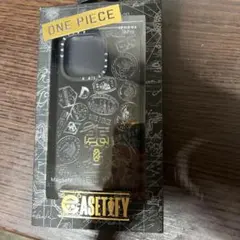 casetify