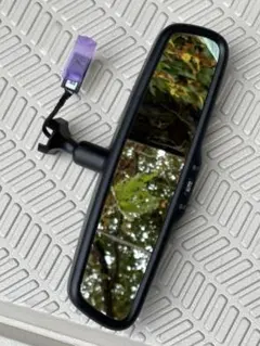 Item thumbnail for item a2e7620e-7eef-4ace-b60b-74c33938a224