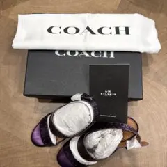 Item thumbnail for item a4312e55-1714-454e-b344-ba2e28ea78fe