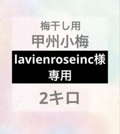 lavienroseinc様専用　山梨県産農薬不使用　甲州小梅　梅干し用　2キロ