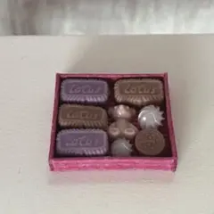 ミニチュアスイーツセット　ロータスクッキー詰め合わせ③