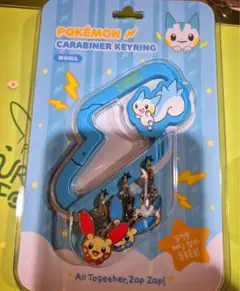 2001年　ポケモンセンター公式非売品ピンバッジ21century 21世紀レア 2001年 ポケモンセンター公式非売品ピンバッジ21century 21世紀レア