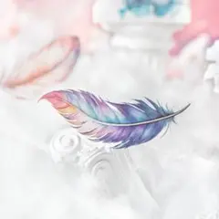 stein様 リクエスト 3点 まとめ商品