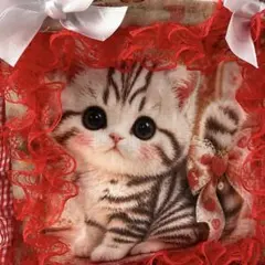 ゆ*ら様 ハンドメイド サコッシュ 猫 白 インド刺繍リボン 大人可愛い