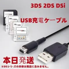 期間限定割引3DS 2DS USB 充電コード Nintendo 充電器 oiK