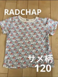 RADCHAP ラッドチャップ Tシャツ　サメ柄　120