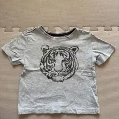 Item thumbnail for item 01391c32-6ec6-47e4-802e-ff639874ed66