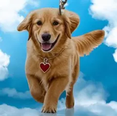 Item thumbnail for item 2a5f4a80-b654-43d1-8056-fa5e6bd25ddb