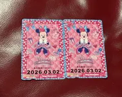 ディズニー フリーきっぷ リゾートライン ミニーのファンダーランド ミニー 2枚