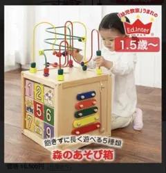 エド·インターの森のあそび箱　定価16000円