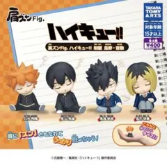 ①肩ズンFig. ハイキュー!! 制服 烏野・音駒　全4種セット
