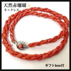 【極美品】天然赤珊瑚 3連 ネックレス 可愛い シルバー silver刻印あり