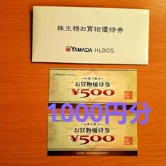 ヤマダ電機　株主優待券